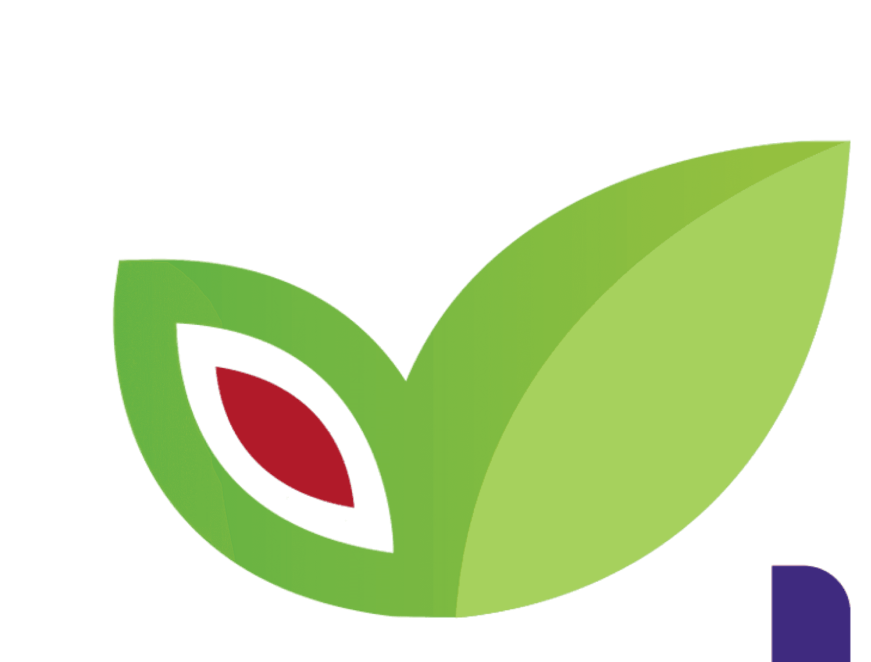 Decorative leaf